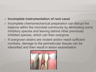  Incomplete instrumentation of root canal
 Incomplete chemomechanical preparation can disrupt the
balance within the microbial community by eliminating some
inhibitory species and leaving behind other previously
inhibited species, which can then overgrow.
 If overgrown strains are virulent and/or reach sufficient
numbers, damage to the periradicular tissues can be
intensified and then result in lesion exacerbation.
 