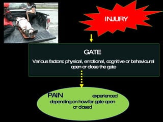INJURY GATE  Various factors: physical, emotional, cognitive or behavioural open or close the gate PAIN   experienced depending on how far gate open or closed 