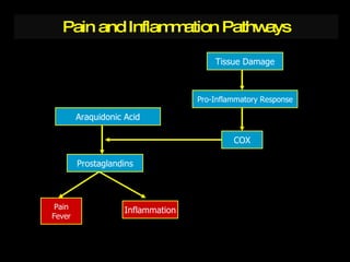 Pain and Inflammation Pathways Tissue Damage Pro-Inflammatory Response COX Araquidonic Acid Prostaglandins Pain Fever Inflammation 
