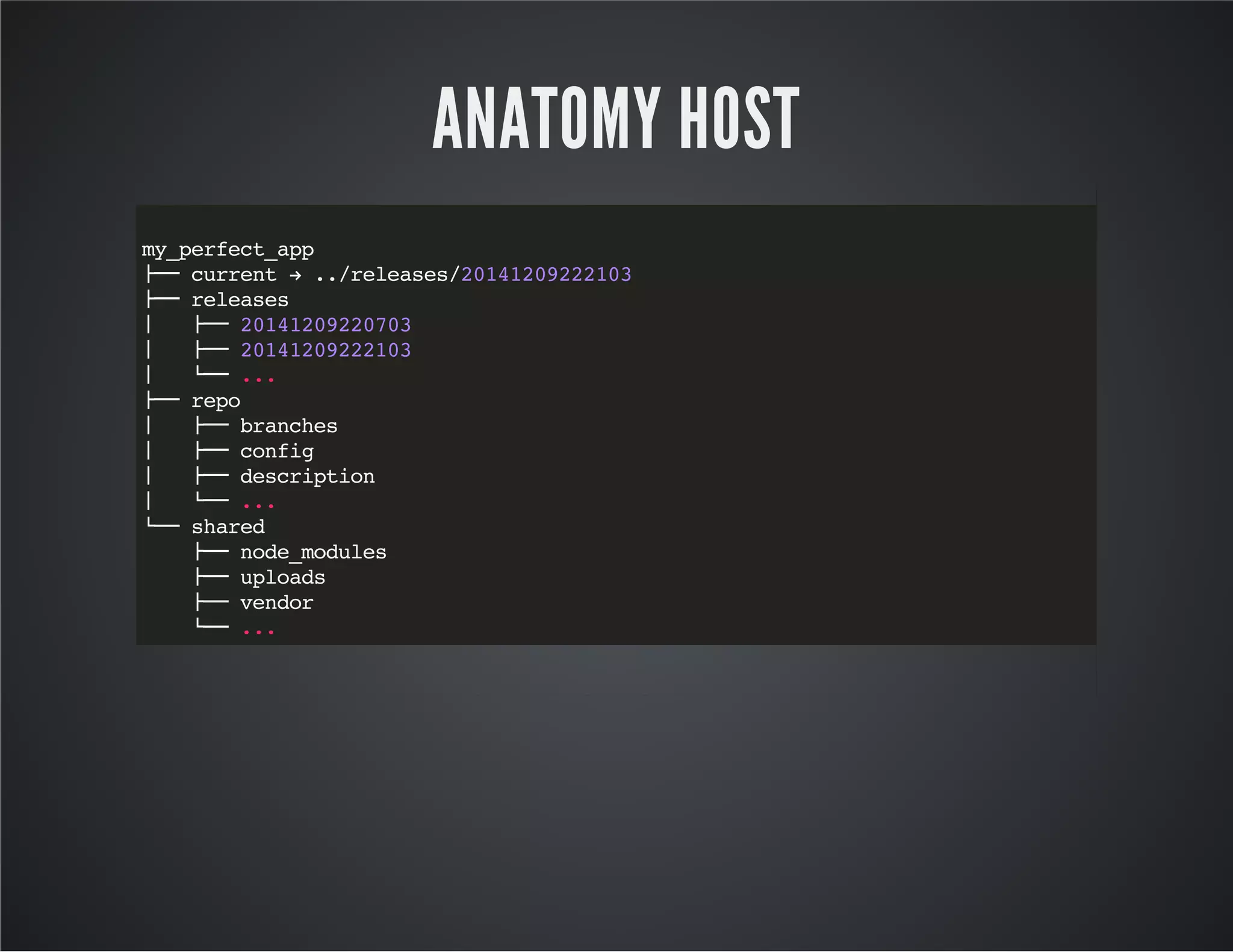 ANATOMY HOST 
my_perfect_app 
├── current → ../releases/20141209222103 
├── releases 
│ ├── 20141209220703 
│ ├── 20141209222103 
│ └── ... 
├── repo 
│ ├── branches 
│ ├── config 
│ ├── description 
│ └── ... 
└── shared 
├── node_modules 
├── uploads 
├── vendor 
└── ... 
 