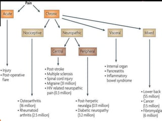 Painm Pain ( M.Sc Nursing) | PPTX