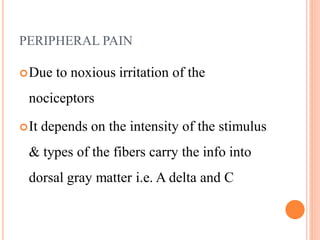 PERIPHERAL PAIN
Due to noxious irritation of the
nociceptors
It depends on the intensity of the stimulus
& types of the fibers carry the info into
dorsal gray matter i.e. A delta and C
 