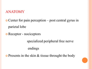 ANATOMY
 Center for pain perception – post central gyrus in
parietal lobe
 Receptor - nociceptors
specialized peripheral free nerve
endings
 Presents in the skin & tissue throught the body
 