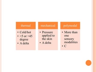 thermal
• Cold/hot
• <5 or >45
degree
• A delta
mechanical
• Pressure
applied to
the skin
• A delta
polymodal
• More than
one
sensory
modalities
• C
 