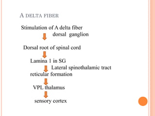 A DELTA FIBER
Stimulation of A delta fiber
dorsal ganglion
Dorsal root of spinal cord
Lamina 1 in SG
Lateral spinothalamic tract
reticular formation
VPL thalamus
sensory cortex
 