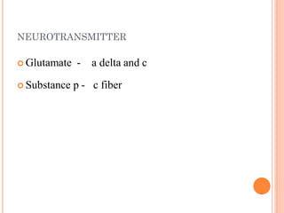 NEUROTRANSMITTER
 Glutamate - a delta and c
 Substance p - c fiber
 