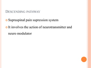 DESCENDING PATHWAY
 Supraspinal pain supression system
 It involves the action of neurotransmitter and
neuro modulator
 