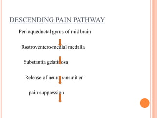 DESCENDING PAIN PATHWAY
Peri aqueductal gyrus of mid brain
Rostroventero-medial medulla
Substantia gelatinosa
Release of neurotransmitter
pain suppression
 