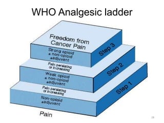 WHO Analgesic ladder
28
 
