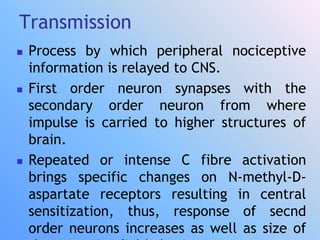 Transmission
 Process by which peripheral nociceptive
information is relayed to CNS.
 First order neuron synapses with the
secondary order neuron from where
impulse is carried to higher structures of
brain.
 Repeated or intense C fibre activation
brings specific changes on N-methyl-D-
aspartate receptors resulting in central
sensitization, thus, response of secnd
order neurons increases as well as size of
 