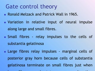 Gate control theory
 Ronald Melzack and Patrick Wall in 1965.
 Variation in relative input of neural impulse
along large and small fibres.
 Small fibres - relay impulses to the cells of
substantia gelatinosa
 Large fibres relay impulses - marginal cells of
posterior gray horn because cells of substantia
gelatinosa terminate on small fibres just when
 
