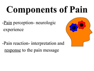 Pain Management - Theory of Pain Control.ppt