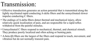 Transmission:
• Effective transduction generates an action potential that is transmitted along the
lightly myelinated rapid conducting A-delta fibers and the unmyelinated slower
impulse conducting C fibers.
• The endings of A-delta fibers detect thermal and mechanical injury, allow
relatively quick localization of pain, and are responsible for a rapid reflex
withdrawal from the painful stimulus.
• Unmyelinated C fibers respond to mechanical, thermal, and chemical stimuli.
They produce poorly localized and often aching or burning pain.
• A-beta (β) fibers are the largest of the fibers and respond to touch, movement, and
vibration but do not normally transmit pain.
 