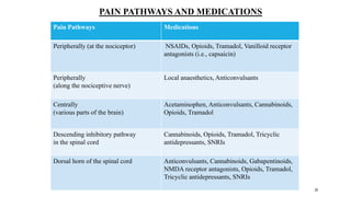 26
PAIN PATHWAYS AND MEDICATIONS
Pain Pathways Medications
Peripherally (at the nociceptor) NSAIDs, Opioids, Tramadol, Vanilloid receptor
antagonists (i.e., capsaicin)
Peripherally
(along the nociceptive nerve)
Local anaesthetics, Anticonvulsants
Centrally
(various parts of the brain)
Acetaminophen, Anticonvulsants, Cannabinoids,
Opioids, Tramadol
Descending inhibitory pathway
in the spinal cord
Cannabinoids, Opioids, Tramadol, Tricyclic
antidepressants, SNRIs
Dorsal horn of the spinal cord Anticonvulsants, Cannabinoids, Gabapentinoids,
NMDA receptor antagonists, Opioids, Tramadol,
Tricyclic antidepressants, SNRIs
 