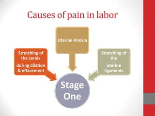 Causes of pain in labor
Stage
One
Stretching of
the cervix
during dilation
& effacement
Uterine Anoxia
Stretching of
the
uterine
ligaments
 
