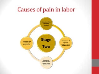 Causes of pain in labor
Stage
Two
Distention of the
vagina and
Perineum
Compression of
the nerve
ganglia in cervix
& lower uterus
Pressure on
urethra, bladder,
rectum during
fetal descent
Traction on and
stretching of
the perineum
 