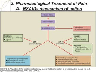 3. Pharmacological Treatment of Pain
   A- NSAIDs mechanism of action
 
