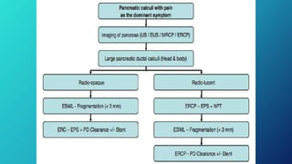 Pain management in chronic pancreatitis - Final - 1.pptx