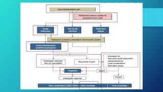 Pain management in chronic pancreatitis - Final - 1.pptx