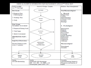Pain management in emergency | PDF