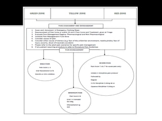 Pain management in emergency | PDF