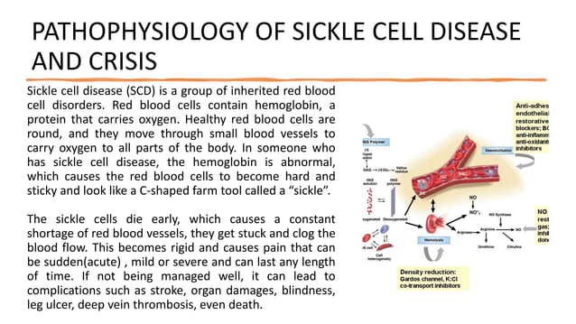 PAIN MANAGEMENT IN SICKLE CELL DISEASE AND CRISIS.pptx