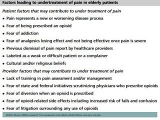 Pain Management in the Elderly | PPTX