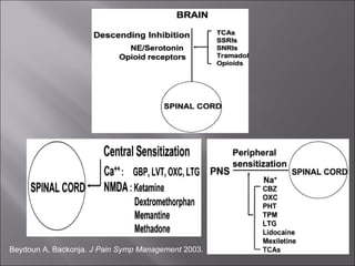 Beydoun A, Backonja. J Pain Symp Management 2003.

 