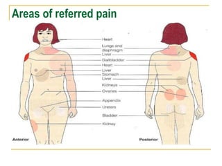 Areas of referred pain
 