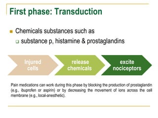 First phase: Transduction
 Chemicals substances such as
 substance p, histamine & prostaglandins
Injured
cells
release
chemicals
excite
nociceptors
Pain medications can work during this phase by blocking the production of prostaglandin
(e.g., ibuprofen or aspirin) or by decreasing the movement of ions across the cell
membrane (e.g., local-anesthetic).
 