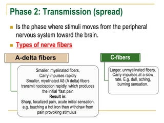 Phase 2: Transmission (spread)
 Is the phase where stimuli moves from the peripheral
nervous system toward the brain.
 Types of nerve fibers
A-delta fibers
Smaller, myelinated fibers,
Carry impulses rapidly
Smaller, myelinated Aδ (A delta) fibers
transmit nociception rapidly, which produces
the initial “fast pain
Result in:
Sharp, localized pain, acute initial sensation.
e.g. touching a hot iron then withdraw from
pain provoking stimulus
C-fibers
Larger, unmyelinated fibers.
Carry impulses at a slow
rate. E.g. dull, aching,
burning sensation.
 