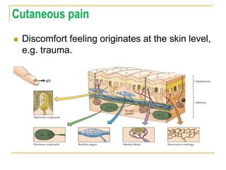 Cutaneous pain
 Discomfort feeling originates at the skin level,
e.g. trauma.
 