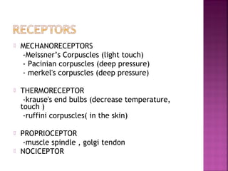   MECHANORECEPTORS
    -Meissner’s Corpuscles (light touch)
    - Pacinian corpuscles (deep pressure)
    - merkel's corpuscles (deep pressure)

   THERMORECEPTOR
     -krause's end bulbs (decrease temperature,
    touch )
     -ruffini corpuscles( in the skin)

   PROPRIOCEPTOR
     -muscle spindle , golgi tendon
   NOCICEPTOR
 