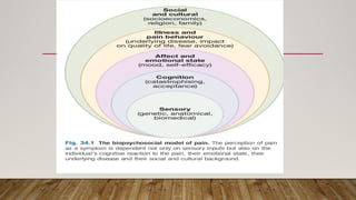 pain mechanisms and assessment of pain .pptx
