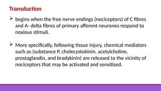 Transduction
 begins when the free nerve endings (nociceptors) of C fibres
and A- delta fibres of primary afferent neurones respond to
noxious stimuli.
 More specifically, following tissue injury, chemical mediators
such as (substance P, cholecystokinin, acetylcholine,
prostaglandin, and bradykinin) are released to the vicinity of
nociceptors that may be activated and sensitized.
 