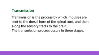 Transmission
Transmission is the process by which impulses are
sent to the dorsal horn of the spinal cord, and then
along the sensory tracts to the brain.
The transmission process occurs in three stages.
 