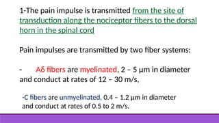 1-The pain impulse is transmitted from the site of
transduction along the nociceptor fibers to the dorsal
horn in the spinal cord
Pain impulses are transmitted by two fiber systems:
- Aδ fibers are myelinated, 2 – 5 μm in diameter
and conduct at rates of 12 – 30 m/s,
-C fibers are unmyelinated, 0.4 – 1.2 μm in diameter
and conduct at rates of 0.5 to 2 m/s.
 