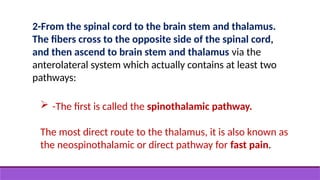 2-From the spinal cord to the brain stem and thalamus.
The fibers cross to the opposite side of the spinal cord,
and then ascend to brain stem and thalamus via the
anterolateral system which actually contains at least two
pathways:
 -The first is called the spinothalamic pathway.
The most direct route to the thalamus, it is also known as
the neospinothalamic or direct pathway for fast pain.
 