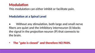 Modulation
This modulation can either inhibit or facilitate pain.
Modulation at a Spinal Level
• Without any stimulation, both large and small nerve
fibers are quiet and the inhibitory interneuron (I) blocks
the signal in the projection neuron (P) that connects to
the brain.
• The "gate is closed" and therefore NO PAIN.
 