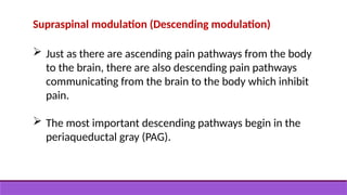 Supraspinal modulation (Descending modulation)
 Just as there are ascending pain pathways from the body
to the brain, there are also descending pain pathways
communicating from the brain to the body which inhibit
pain.
 The most important descending pathways begin in the
periaqueductal gray (PAG).
 