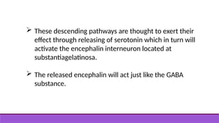  These descending pathways are thought to exert their
effect through releasing of serotonin which in turn will
activate the encephalin interneuron located at
substantiagelatinosa.
 The released encephalin will act just like the GABA
substance.
 