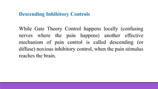 Descending Inhibitory Controls
While Gate Theory Control happens locally (confusing
nerves where the pain happens) another effective
mechanism of pain control is called descending (or
diffuse) noxious inhibitory control, when the pain stimulus
reaches the brain.
 