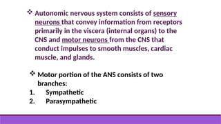  Autonomic nervous system consists of sensory
neurons that convey information from receptors
primarily in the viscera (internal organs) to the
CNS and motor neurons from the CNS that
conduct impulses to smooth muscles, cardiac
muscle, and glands.
 Motor portion of the ANS consists of two
branches:
1. Sympathetic
2. Parasympathetic
 