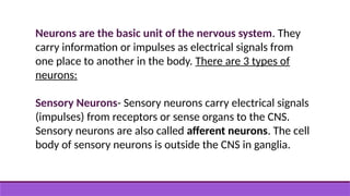 Neurons are the basic unit of the nervous system. They
carry information or impulses as electrical signals from
one place to another in the body. There are 3 types of
neurons:
Sensory Neurons- Sensory neurons carry electrical signals
(impulses) from receptors or sense organs to the CNS.
Sensory neurons are also called afferent neurons. The cell
body of sensory neurons is outside the CNS in ganglia.
 