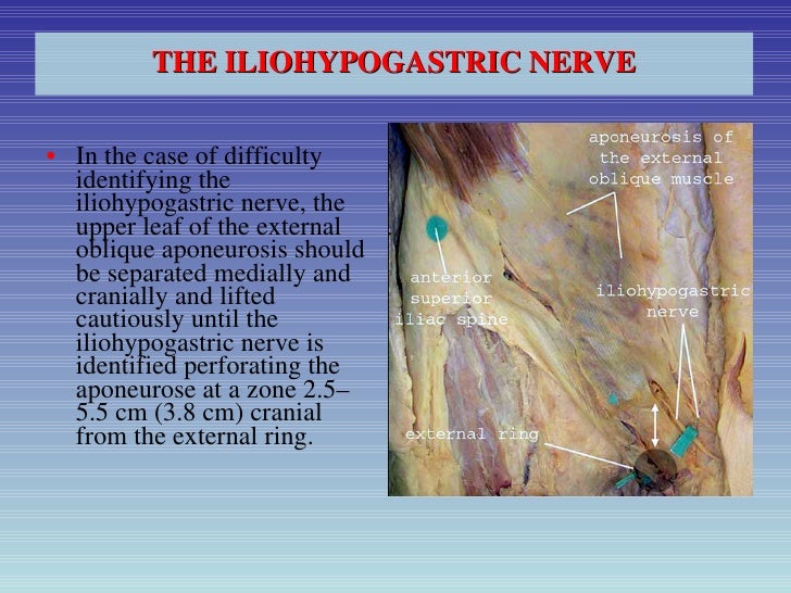 Treatment For Nerve Pain After Hernia Surgery