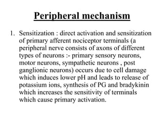 Peripheral mechanism
1. Sensitization : direct activation and sensitization
of primary afferent nociceptor terminals (a
peripheral nerve consists of axons of different
types of neurons :- primary sensory neurons,
motor neurons, sympathetic neurons , post
ganglionic neurons) occurs due to cell damage
which induces lower pH and leads to release of
potassium ions, synthesis of PG and bradykinin
which increases the sensitivity of terminals
which cause primary activation.
 