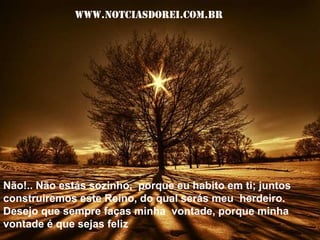 www.notciasdorei.com.brNão!.. Não estás sozinho,  porque eu habito em ti; juntos construiremos este Reino, do qual serás meu  herdeiro.Desejo que sempre faças minha  vontade, porque minha vontade é que sejas feliz