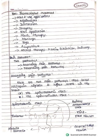 pain & pain pathway.pdf