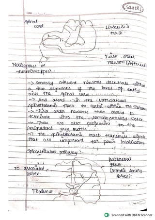 pain & pain pathway.pdf