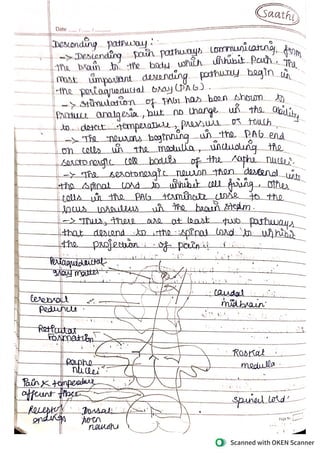 pain & pain pathway.pdf